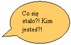 Objanienie owalne: Co si stao?! Kim jeste?!